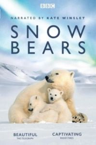 Постер Снежные медведи (Snow Bears)