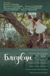 Постер Близнецы 