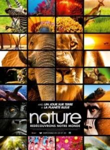 Постер Заколдованное королевство 3D (Enchanted Kingdom 3D)