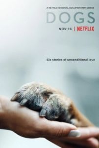 Постер Собаки (Dogs)