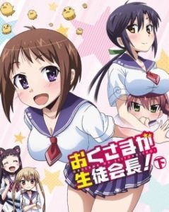 Постер Президент школьного совета моя невеста (Okusama ga seitokaichô!)