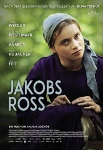 Постер Когда поёт душа (Jakobs Ross)