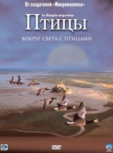 Постер Птицы (Le peuple migrateur)