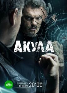 Постер Акула 