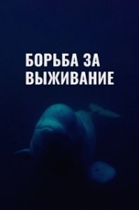 Постер Борьба за выживание (Struggle for survival)