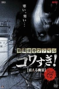 Постер Ужасающие материалы, файл 2: Дрожащий призрак (Senritsu Kaiki File Kowasugi File 02: Shivering Ghost)