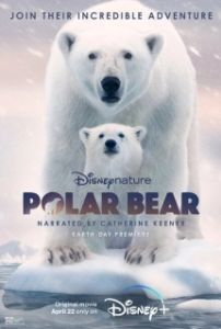 Постер Полярный медведь (Polar Bear)