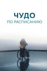 Постер Чудо по расписанию 