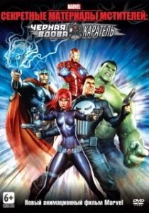 Постер Секретные материалы Мстителей: Черная Вдова и Каратель (Avengers Confidential: Black Widow & Punisher)