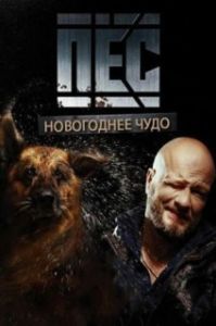 Постер Новогодний пёс 