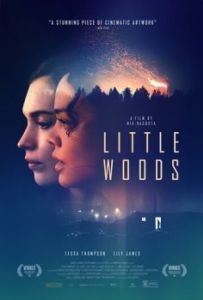 Постер Лесок (Little Woods)