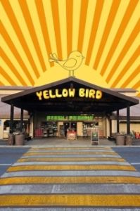 Постер Жёлтая пташка (Yellow Bird)