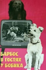 Постер Барбос в гостях у Бобика 