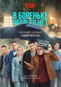 Постер В Бореньке чего-то нет 