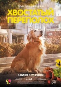 Постер Хвостатый переполох (Dogeu deijeu)
