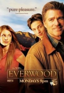 Постер Любовь вдовца (Everwood)