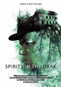 Постер Духи в темноте (Spirits in the Dark)
