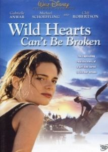Постер Храбрых сердцем не сломить (Wild Hearts Can't Be Broken)