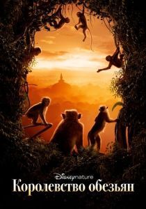 Постер Королевство обезьян (Monkey Kingdom)