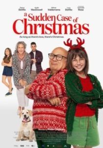 Постер Внезапное Рождество (A Sudden Case of Christmas)