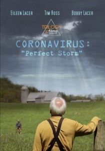 Постер Коронавирус: Идеальный шторм (Coronavirus: Perfect Storm)