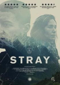 Постер Заблудшие (Stray)