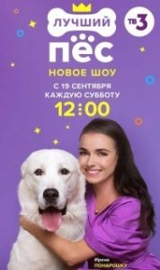 Постер Лучший пёс