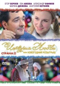 Постер История любви, или Новогодний розыгрыш 