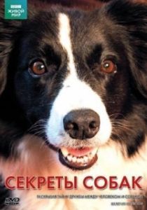 Постер BBC: Секреты собак (Secret Life of the Dog)