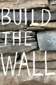 Постер Построить стену (Build the Wall)