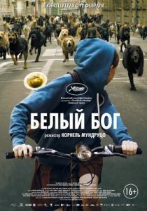 Постер Белый Бог (Fehér isten)