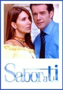 Постер Сила любви (Sabor a ti)