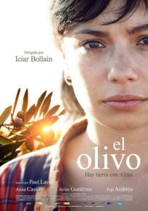 Постер Олива (El olivo)