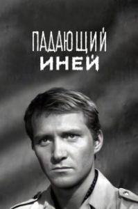 Постер Падающий иней 