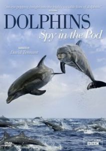 Постер Дельфины скрытой камерой (Dolphins: Spy in the Pod)