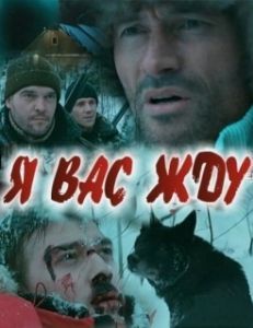 Постер Я вас жду... 