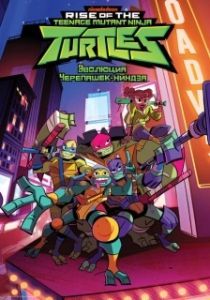 Постер Эволюция Черепашек-ниндзя (Rise of the Teenage Mutant Ninja Turtles)
