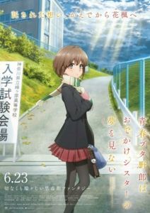 Постер Этот глупый свин не понимает мечту сестры на прогулке (Seishun Buta Yarou wa Odekake Sister no Yume wo Minai)