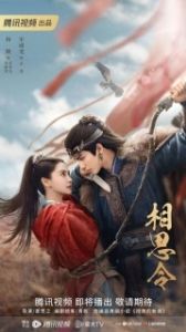 Постер Вечная тоска (Xiang Si Ling)