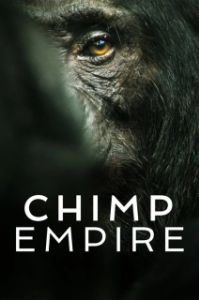 Постер Империя шимпанзе (Chimp Empire)