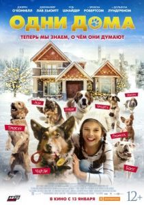 Постер Одни дома (Pups Alone)