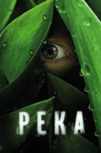 Постер Река (The River)