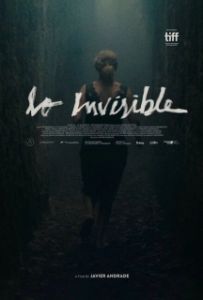 Постер Невидимая (Lo invisible)