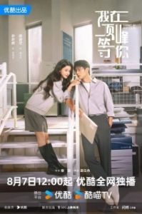 Постер Вершина нашей молодости (Wo zai ding feng deng ni)