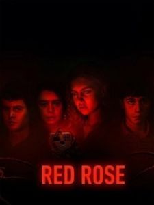 Постер Красная роза (Red Rose)