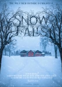 Постер А снег идёт (Snow Falls)