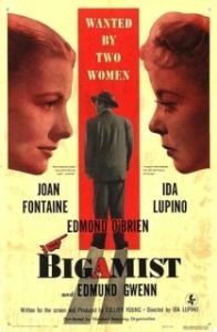 Постер Двоеженец (The Bigamist)