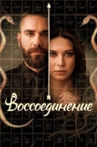 Постер Воссоединение (Vuslat)