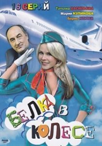 Постер Белка в колесе 