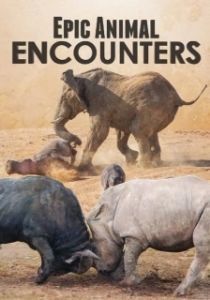 Постер Невероятные встречи с животными (Epic Animal Encounters)